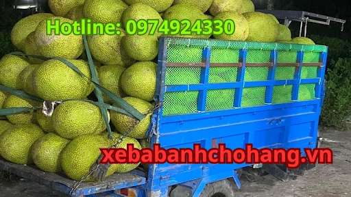 Xe ba gác, hay còn được gọi là xe ba bánh, là một phương tiện vận chuyển cỡ trung vô cùng phổ biến ở nước ta