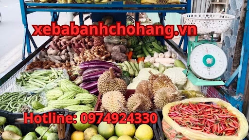 Xe ba gác VĨ TUYẾN vận chuyển nông sản