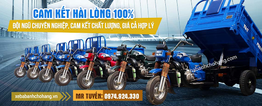 Tổng hợp những dòng xe của công ty VĨ TUYẾN